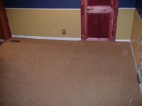 carpet1