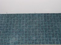 carpet1