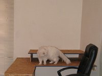 cdesk1
