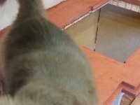 20160223 172120