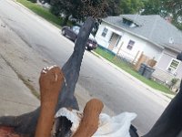 20150913 160015