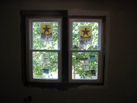 window5